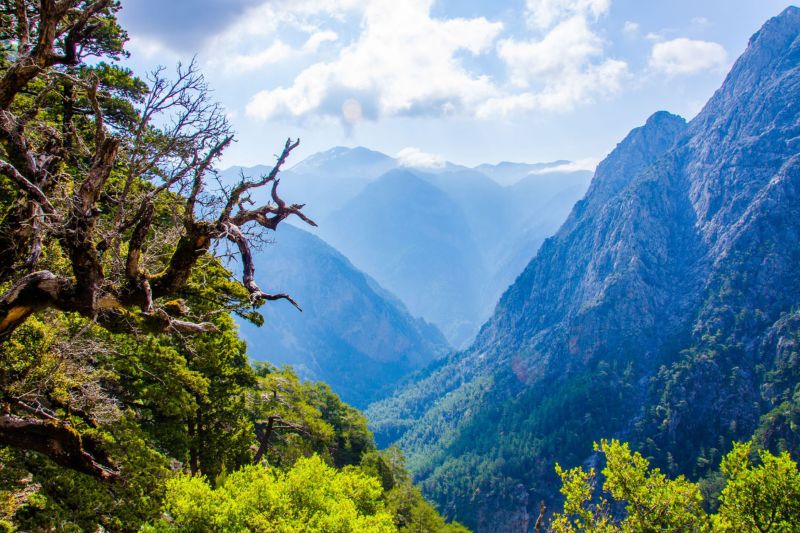 NATURAL LANDSCAPES